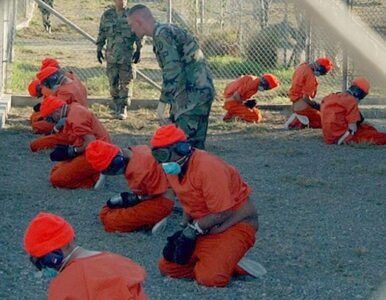Miniatura: Kolejni więźniowie uwolnieni z Guantanamo....