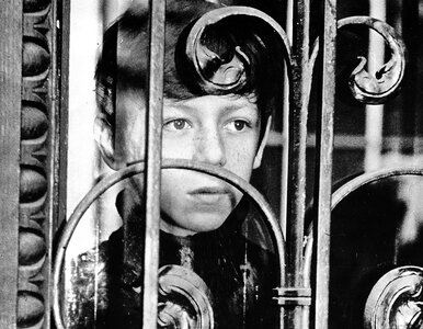 Miniatura: Dziecięcy gwiazdor PRL-u nagle zniknął bez...