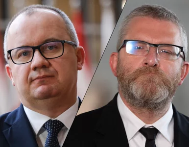 Miniatura: Zarzuty dla Brauna. Bodnar o „ekscesach”...