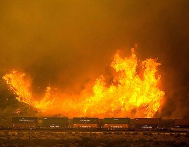 Miniatura: Ogromne pożary w Kalifornii. Strażacy nie...