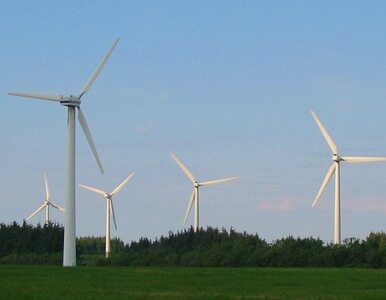 Miniatura: Dania: stawiamy na zielona energię. Mimo...