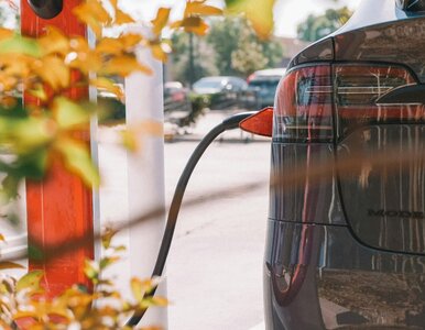 Miniatura: 10 tys. punktów ładowania elektryków i...