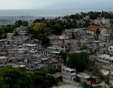 Miniatura: Haiti: setki tysięcy osób wciąż nie ma...