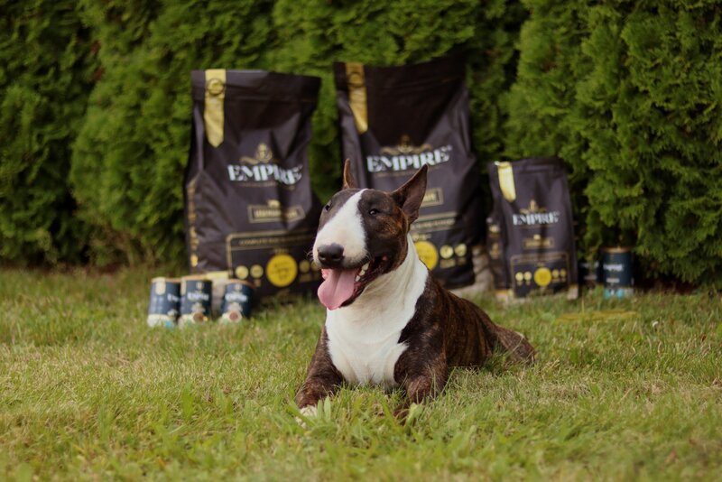 Empire Super Petfood to naturalna kompozycja wyselekcjonowanych składników. Hipoalergiczna formuła karm nie zawiera zbóż
