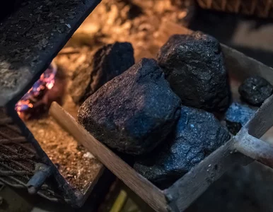 Miniatura: Polacy kombinują z dodatkiem węglowym....