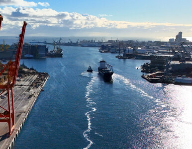 Miniatura: Polscy naukowcy na końcu świata. Te...