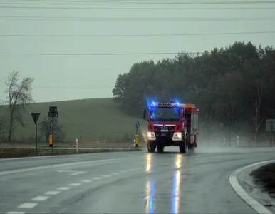 Miniatura: Wypadek autobusu wycieczkowego koło...