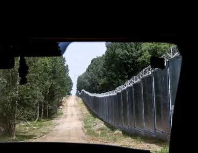 Miniatura: Posłanka wstawiła zdjęcie „okna życia” w...