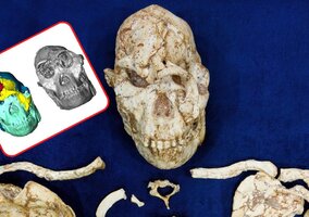 Miniatura: Naukowcy zrekonstruowali twarz „Małej...