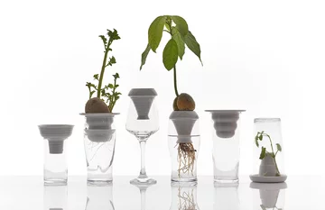 Plantacja, projekt Alicja Patanowska Patanowska, Kristoff, Krzysztof, Plantacja