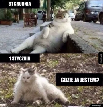 Mem z okazji Sylwestra 