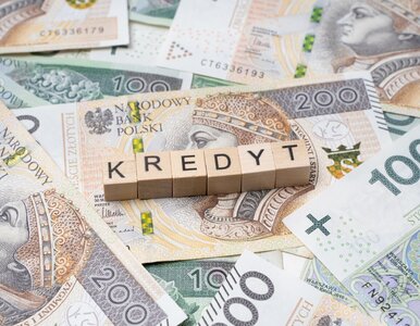 Miniatura: Kredyty zaskoczyły wszystkich. Raty nie...