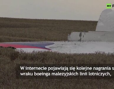 Miniatura: Szczątki wraku malezyjskiego boeinga...