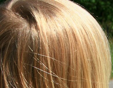 Miniatura: Włosy gęste i lśniące
