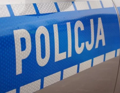 Miniatura: Zabiła dwoje dzieci podczas nielegalnego...