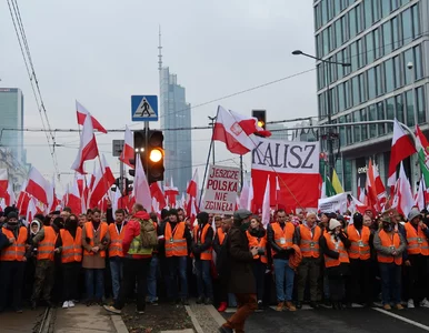 Miniatura: Sąd podjął decyzję ws. Marszu...