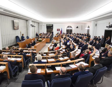 Miniatura: Senat chciałby grillować Banasia....