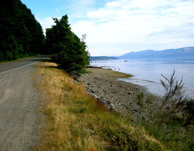 Miniatura: Zwłoki w jeziorze. 13-latek pomógł...