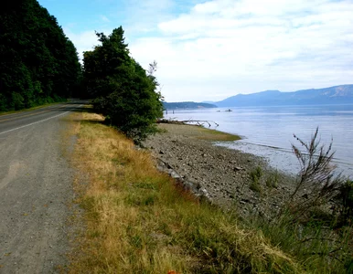 Miniatura: Zwłoki w jeziorze. 13-latek pomógł...