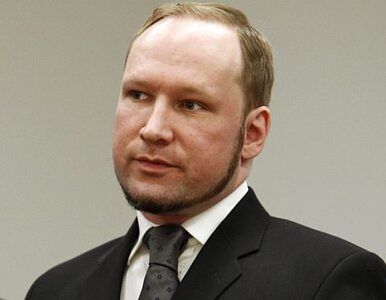 Miniatura: Dlaczego Breivik nie dostał dożywocia? "Bo...
