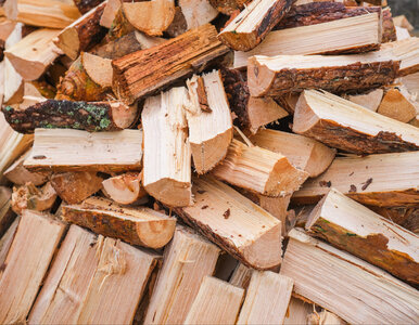 Miniatura: Grzeje jak buk, kosztuje mniej i schnie...