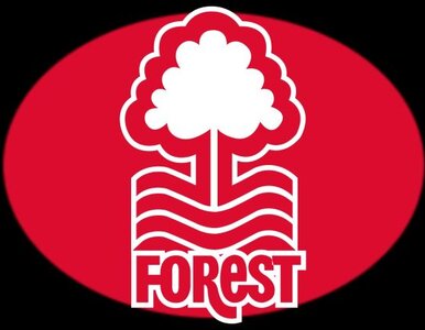 Miniatura: Nottingham Forest należy do rodziny z Kuwejtu