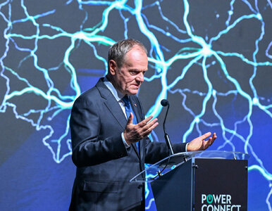 Miniatura: Donald Tusk „wykłada” bilion złotych....