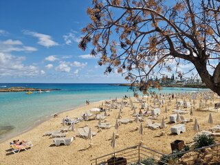 Fig Tree Bay