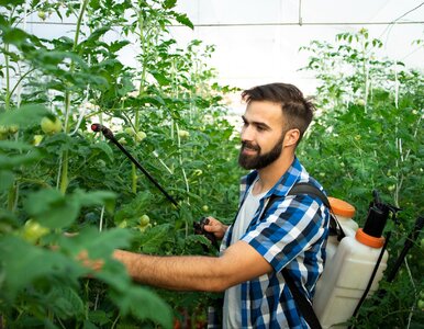 Miniatura: Sekretny sprzymierzeniec ogrodnika....