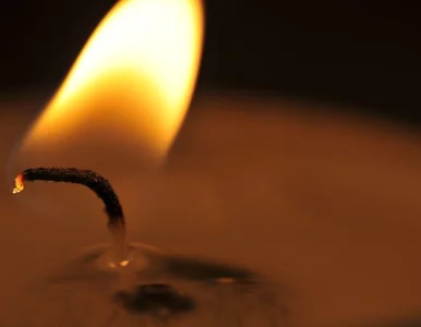 Miniatura: Joe McGinniss, autor bestsellerów, nie żyje