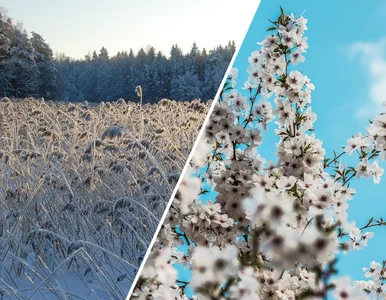 Miniatura: W Polsce szykuje się pogodowa anomalia....