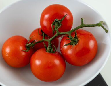 Miniatura: Jedzenie pomidorów wpływa na ciśnienie...