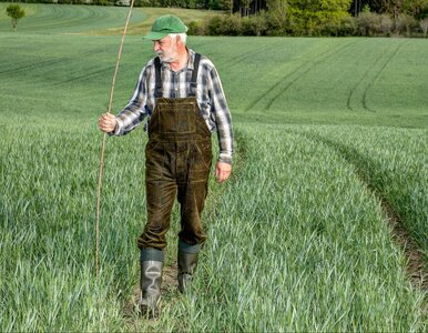 Miniatura: 14. emerytura z KRUS nie dla wszystkich...