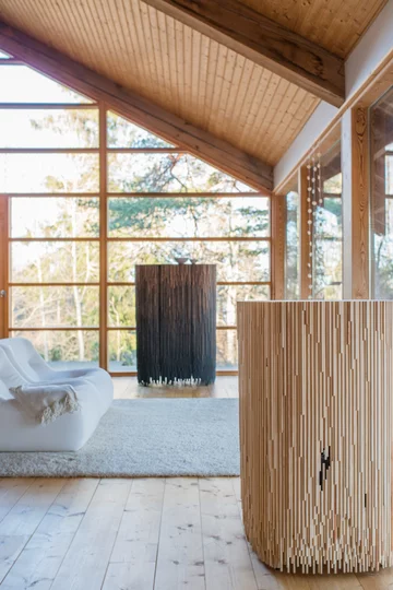 Projektant Antrei Hartikainen Scandinavian Design Awards, Antrei Hartikainen