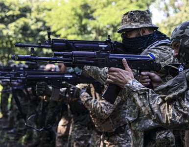 Miniatura: Wojna na Ukrainie. Amerykanie poirytowani...