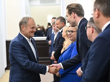 Miniatura: Afera wokół KPO. Na to poszły gigantyczne...