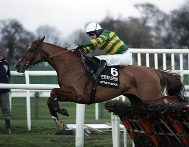 Miniatura: Dżokej sportową osobowością roku