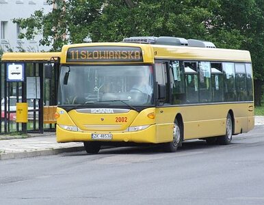 Miniatura: Linia autobusowa dla jednego pasażera?...