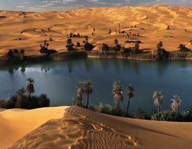 Miniatura: Nowy ocean powstaje w sercu Afryki....