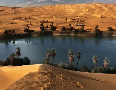 Miniatura: Nowy ocean powstaje w sercu Afryki....