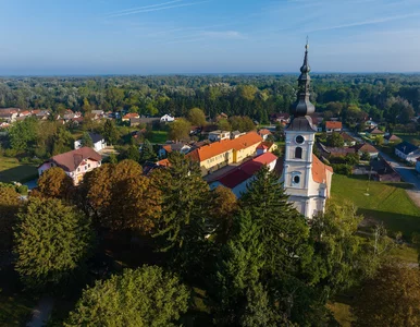 Miniatura: Do sieci trafiła oferta nie do odrzucenia....