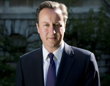 Miniatura: Cameron: Unię Europejską można zmienić....