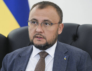 Miniatura: Ekshumacja ofiar rzezi wołyńskiej. Ukraina...