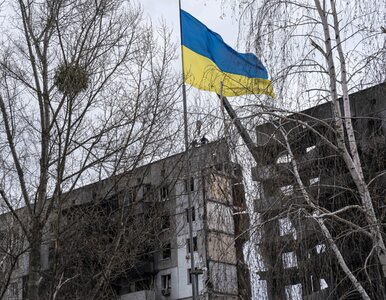 Miniatura: Dwa ukraińskie miasta mogą stać się celem...