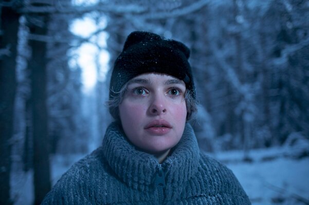 Miniatura: „Miasto niedźwiedzia” – nowy szwedzki...