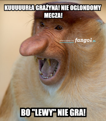 Miniatura: MEMY po meczu Polska – Rosja