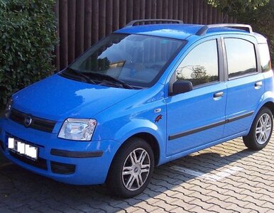 Miniatura: Będzie wsparcie dla Fiata