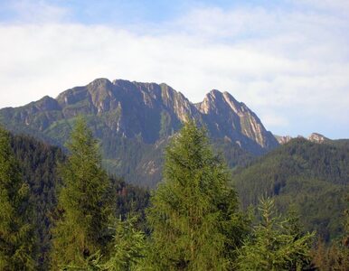Miniatura: Niemiecki turysta zaginął w Tatrach