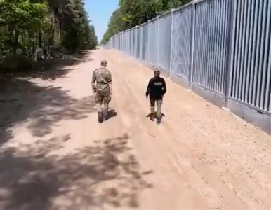 Miniatura: Polacy chcą większych obostrzeń przy...