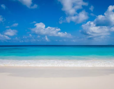 Miniatura: Quiz dla fanów upalnych miejsc. Idealny na...